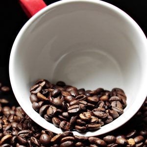 Brazil Cerrado